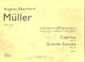 Caprice op.4  und Grande sonate op.36 f�r Klavier