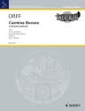 Carmina Burana f�r gro�es Blasorchester Partitur