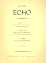Das Echo Sextett f�r 4 Violinen und 2 Violoncelli Stimmen