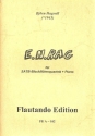 E.N.Rag f�r 4 Blockfl�ten (SATB) und Klavier Stimmen