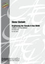 Erg�nzung der Sonate C-Dur D840 von Franz Schubert f�r Klavier