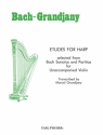 Etudes for harp selected from Bach Sonatas and Partitas for unaccompanied violin