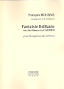 Fantaisie brillant sur des th�mes de Carmen de Georges Bizet pour saxophone alto et piano