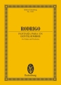 Fantasia para un gentilhombre for guitar and orchestra study score