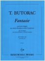 Fantasie nach dem Adagio aus Adagio aus Anton Bruckners 7. Symphonie f�r Violine