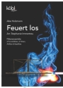 Feuert los f�r 2 Piccolofl�ten, 2 Fl�ten, Altfl�te und Bassfl�te Partitur und Stimmen