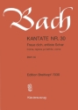 Freue dich, erl�ste Schar Kantate Nr.30 BWV30 Klavierauszug (dt/en)