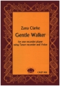 Gentle Walker for Ganassi recorder in g major
