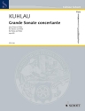 Grande sonate concertante op.85 f�r Fl�te und Klavier