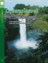 Greensleeves f�r 2 Fl�ten Spielpartitur