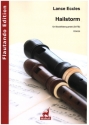 Hailstorm f�r 4 Blockfl�ten (SATB) Partitur und Stimmen