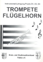 Instrumental-Lehrgang Praxis D1, D2, D3 f�r Trompete (Fl�gelhorn)