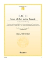 Jesus bleibet meine Freude BWV147 f�r Fl�te und Klavier