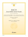 Jesus bleibet meine Freude BWV147 f�r Horn in F und Klavier