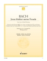Jesus bleibet meine Freude BWV147 f�r Oboe und Klavier