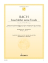 Jesus bleibet meine Freude BWV147 f�r Saxophon in Es und Klavier