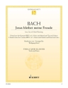 Jesus bleibet meine Freude BWV147 f�r Viola und Klavier