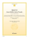 Jesus bleibet meine Freude BWV147 f�r Violine und Klavier