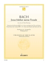 Jesus bleibet meine Freude BWV147 f�r Violoncello und Klavier