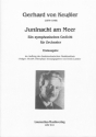 Juninacht am Meer f�r Orchester Partitur
