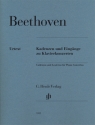 Kadenzen und Eing�nge zu Klavierkonzerten f�r Klavier