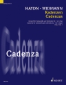Kadenzen zum Violincellokonzert C-Dur Nr.1 Hob.VIIb:1 von Joseph Haydn f�r Violoncello