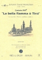 La bella fiamma � Tirsi f�r Alt, Theorbe und Bc Spielpartitur