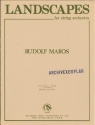 Landscapes for string orchestra score