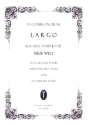 Largo aus Sinfonie Nr.9 f�r Alphorn und Orgel