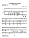 Largo from The New World Symphony for violin and piano