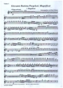 Magnificat f�r Chor und Streichorchester Streicherset (1-1-1-1)