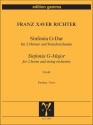 Sinfonia G-Dur / Partitur Kammerorchester