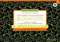 Senioren musizieren: Blockfl�te Ein behutsamer Lehrgang f�r Anf�nger und sp�te Wiedereinsteiger Tenor- oder Alt-Blockfl�te