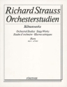 Orchesterstudien aus seinen B�hnenwerken: Horn Band 4
