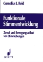 Funktionale Stimmentwicklung