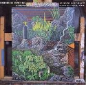 Hermeto Pascoal - So Nao Toca Quem Nao Quer