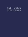 Peter Schmoll und seine Nachbarn Band III/2