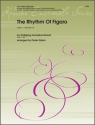 Rhythm of Figaro