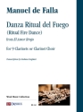 Danza Ritual del Fuego