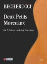Deux Petits Morceaux