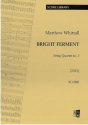 Bright Ferment