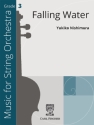 Falling Water