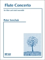 Flute Concerto