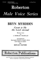 Bryn Myrddin
