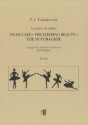 Suite from Ballets Swan Lake, Sleeping Beauty, Nutcracker