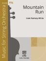 Mountain Run