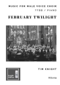 February Twilight