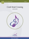 Cook Strait Crossing