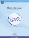 Hidden Wonders