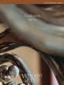 Colours